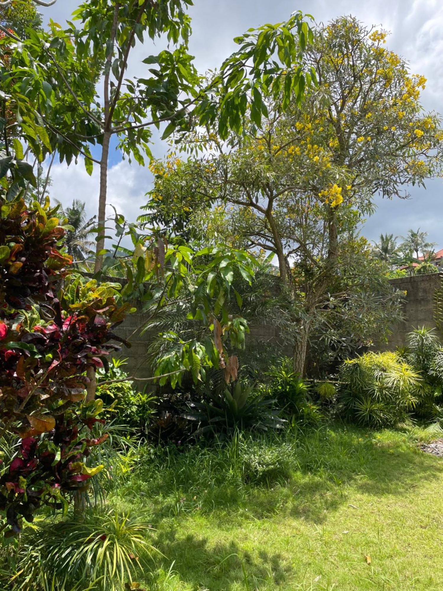 Villa Kelana Sidemen  Extérieur photo